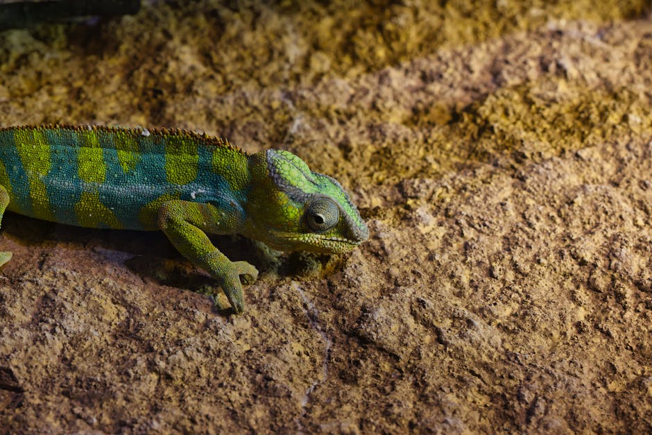 Mastering Environment News: Essential Tips for Staying Informed